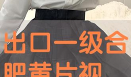 免费的毛片视频,内容概览与警示