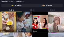 po视频,一窥短视频背后的创作魅力